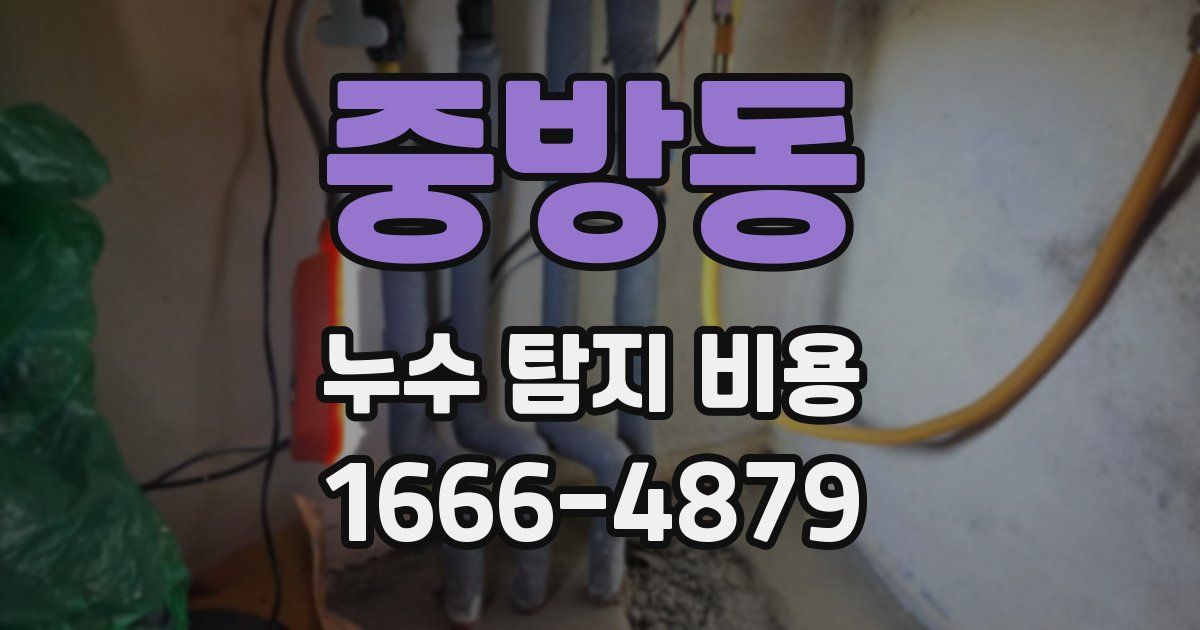 중방동 누수 탐지 비용