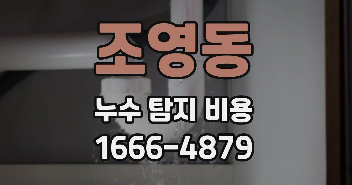 조영동 누수 탐지 비용