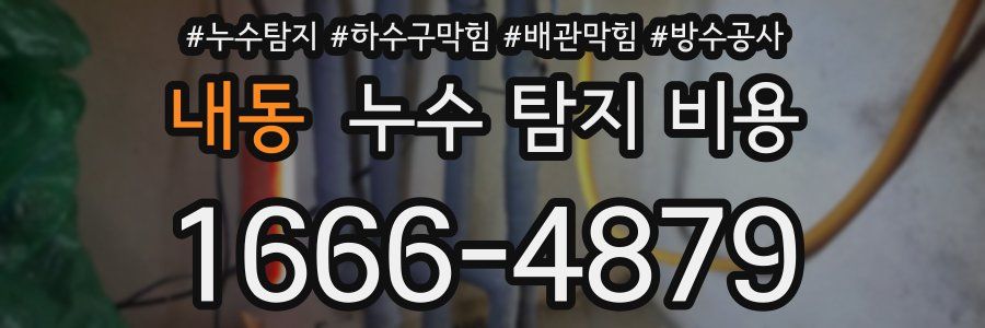 내동 누수 탐지 비용