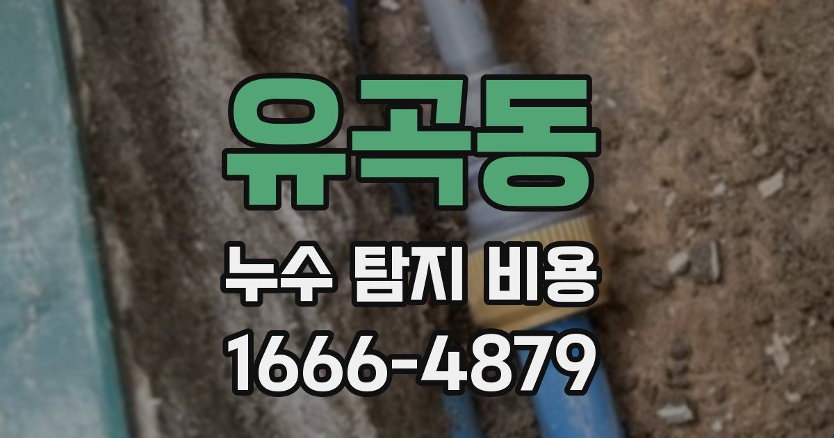유곡동 누수 탐지 비용
