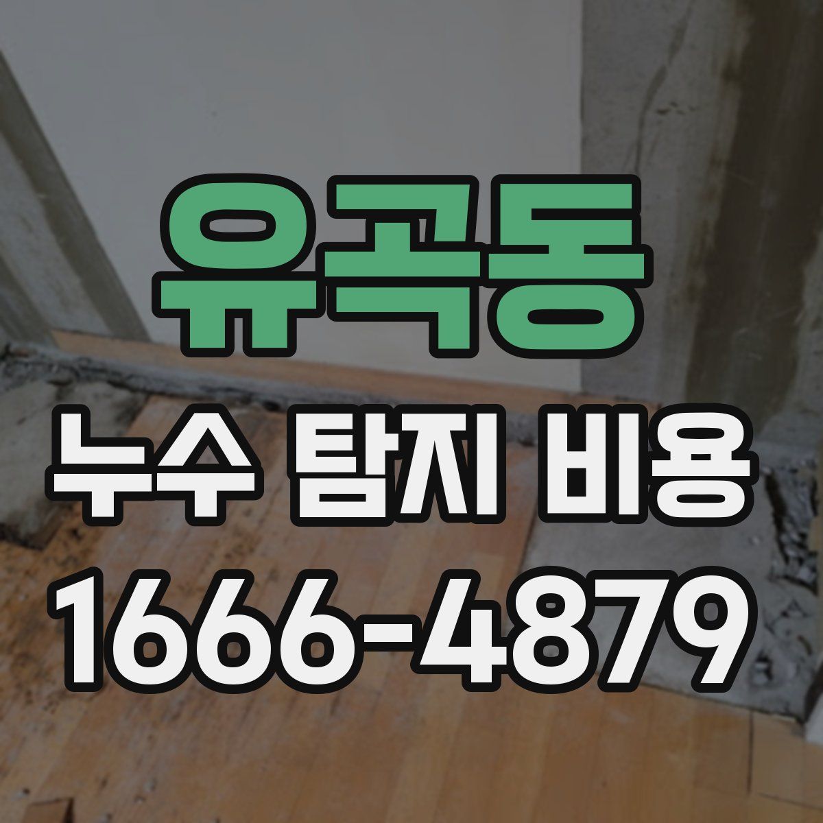 유곡동 누수 탐지 비용