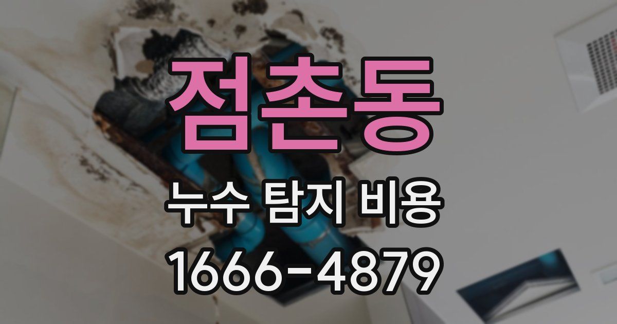 점촌동 누수 탐지 비용