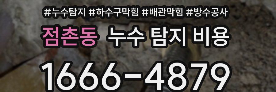 점촌동 누수 탐지 비용