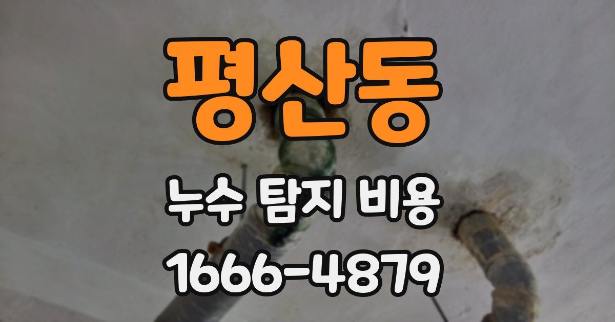 평산동 누수 탐지 비용