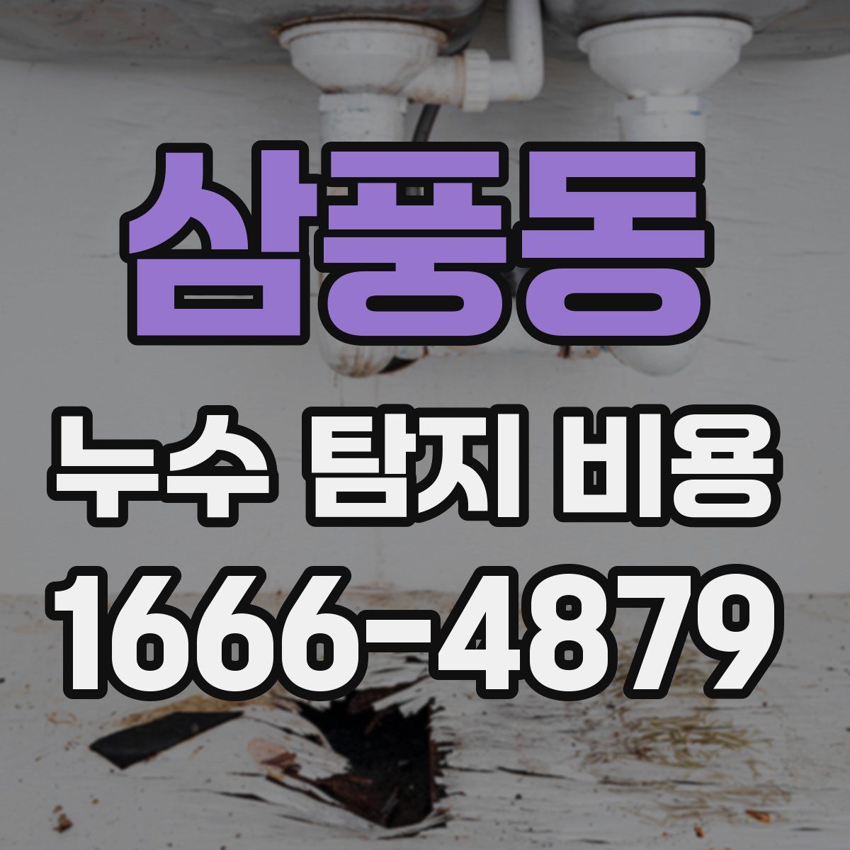 삼풍동 누수 탐지 비용