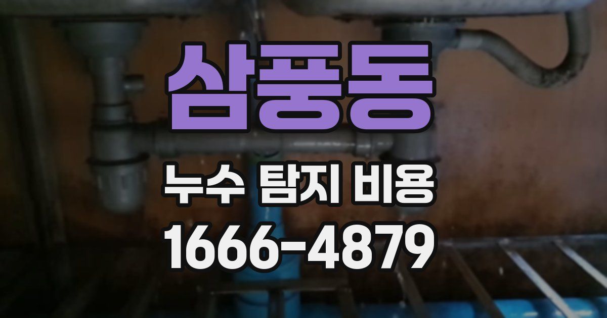 삼풍동 누수 탐지 비용