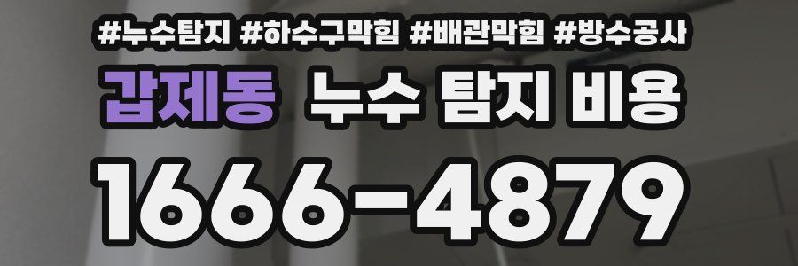 갑제동 누수 탐지 비용