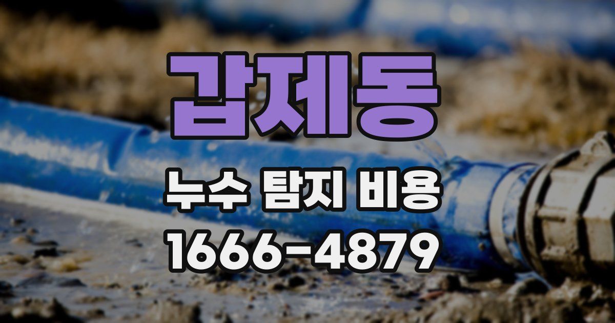 갑제동 누수 탐지 비용