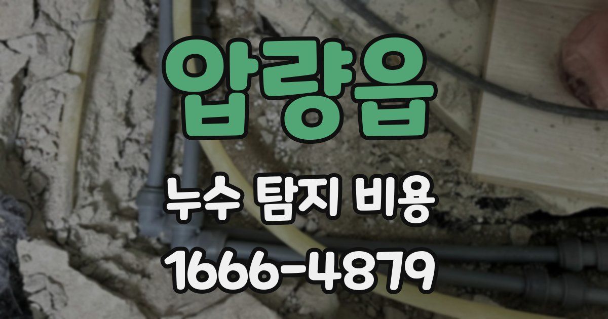 압량읍 누수 탐지 비용