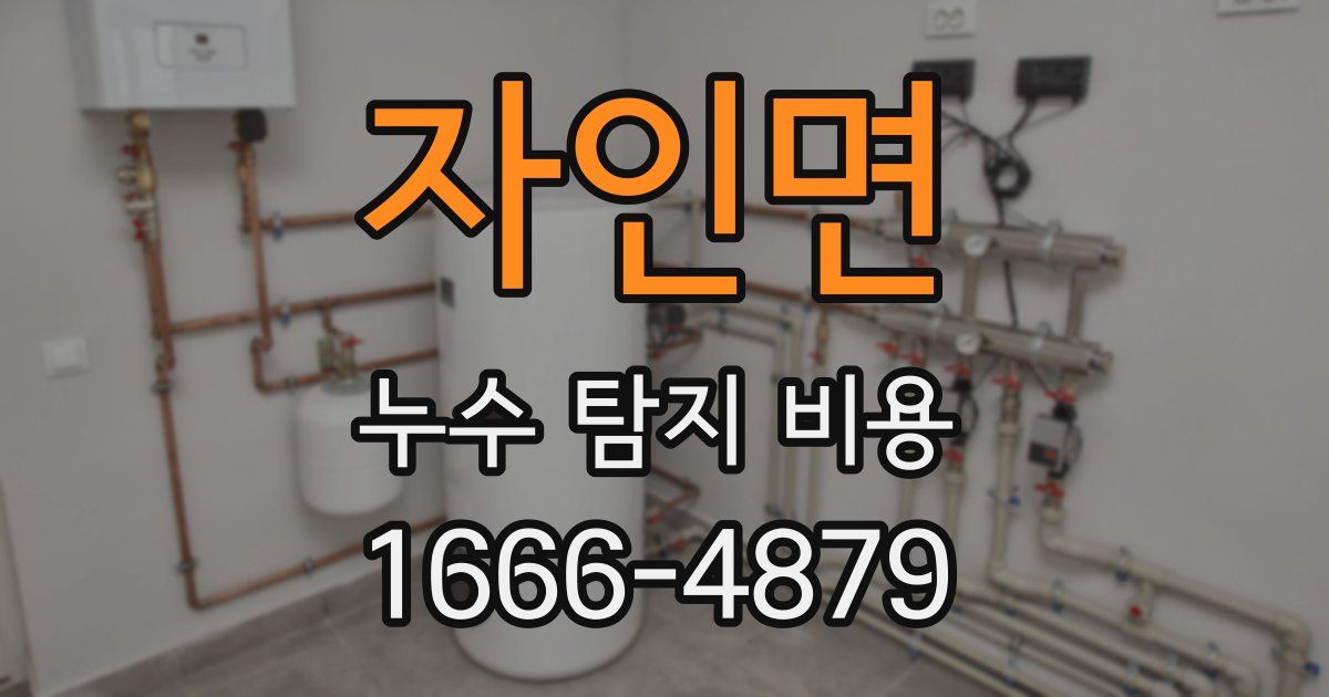 자인면 누수 탐지 비용