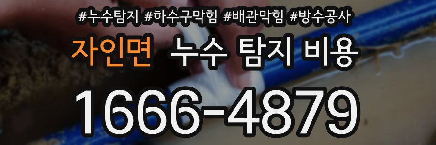 자인면 누수 탐지 비용