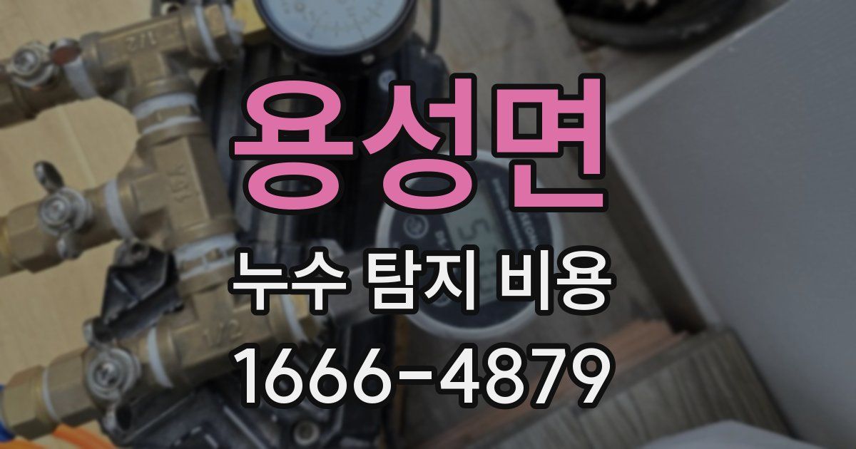 용성면 누수 탐지 비용