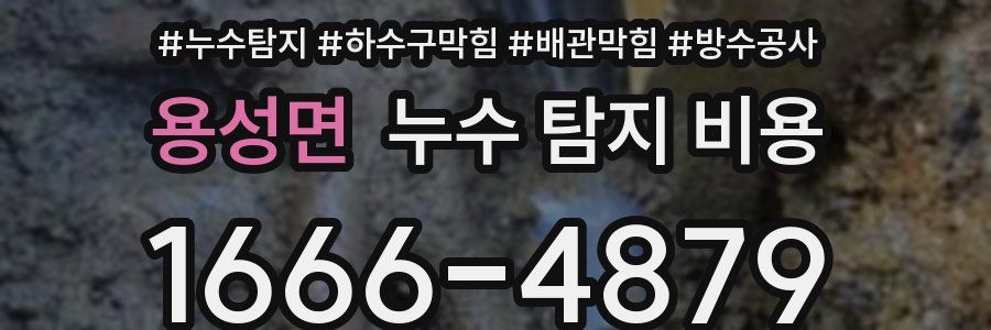용성면 누수 탐지 비용