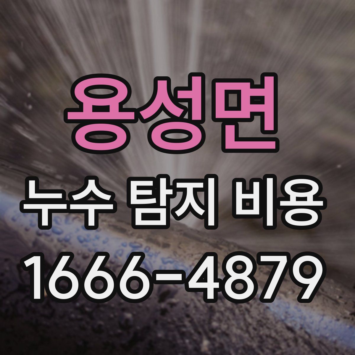 용성면 누수 탐지 비용