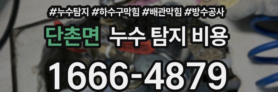 단촌면 누수 탐지 비용