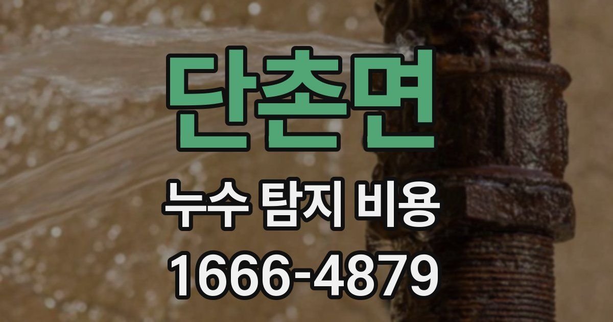 단촌면 누수 탐지 비용