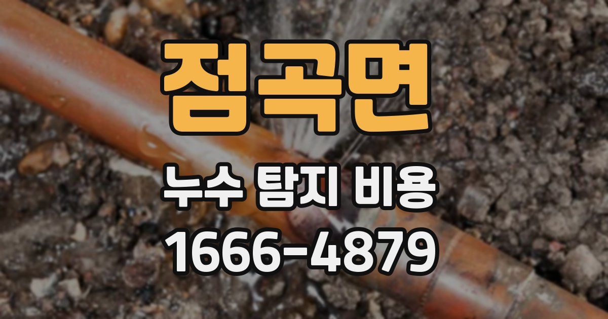 점곡면 누수 탐지 비용