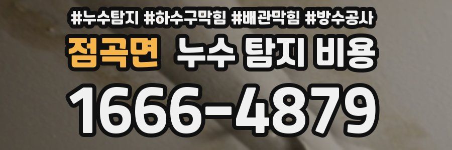 점곡면 누수 탐지 비용