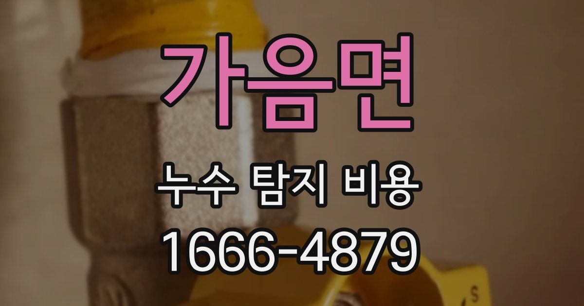 가음면 누수 탐지 비용