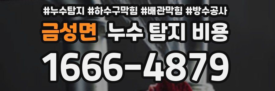 금성면 누수 탐지 비용