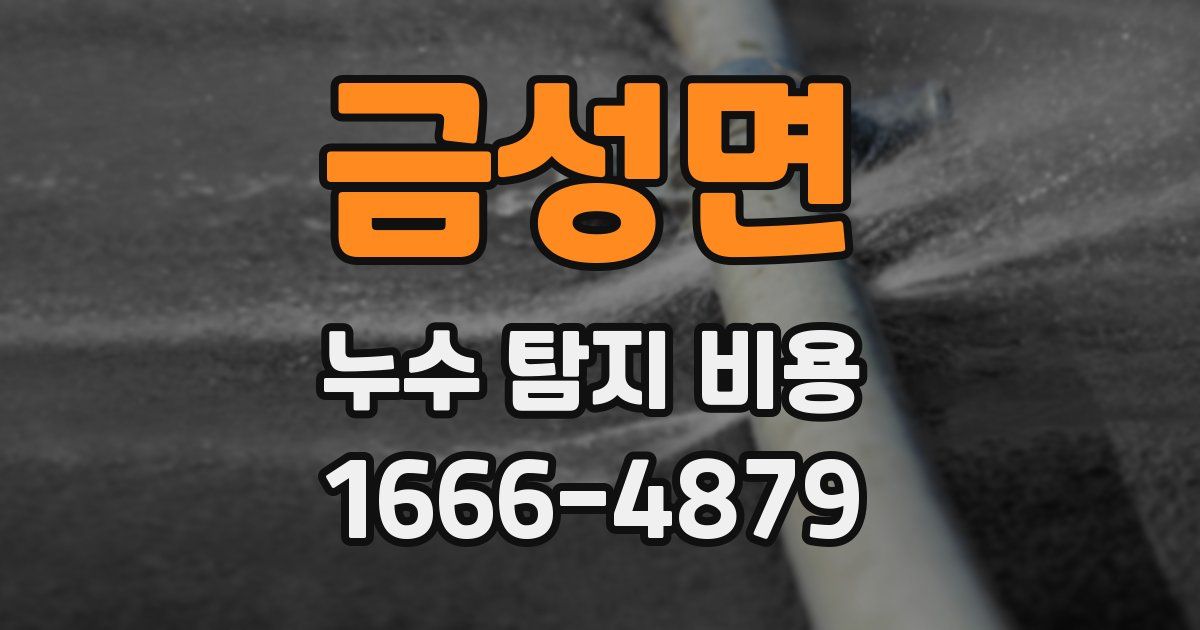 금성면 누수 탐지 비용