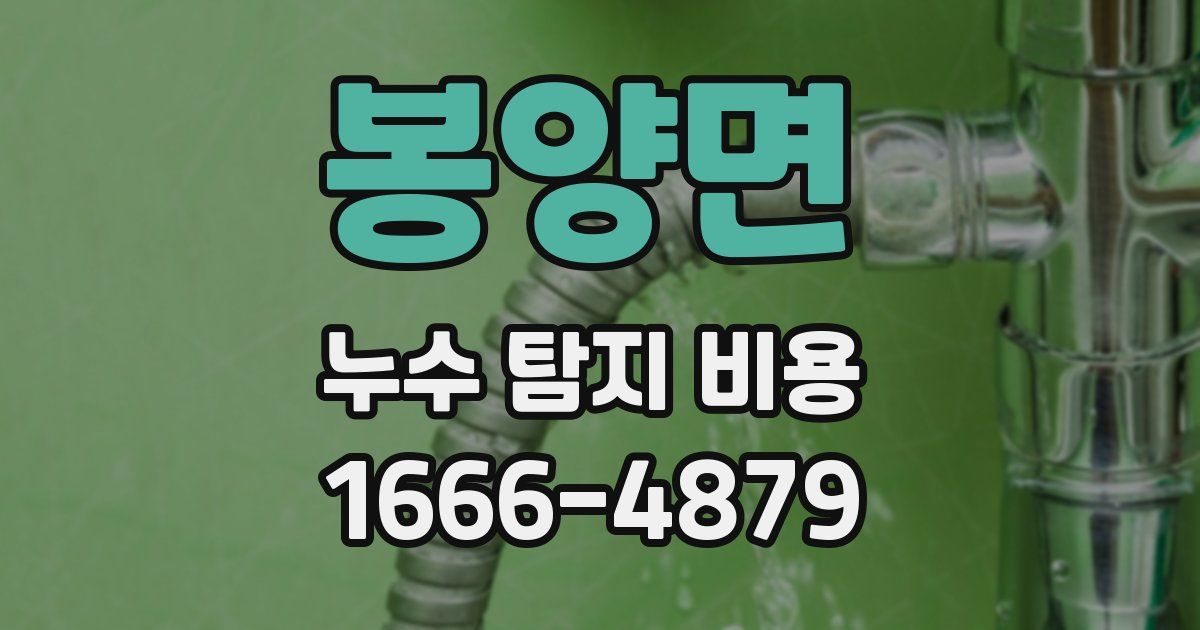 봉양면 누수 탐지 비용