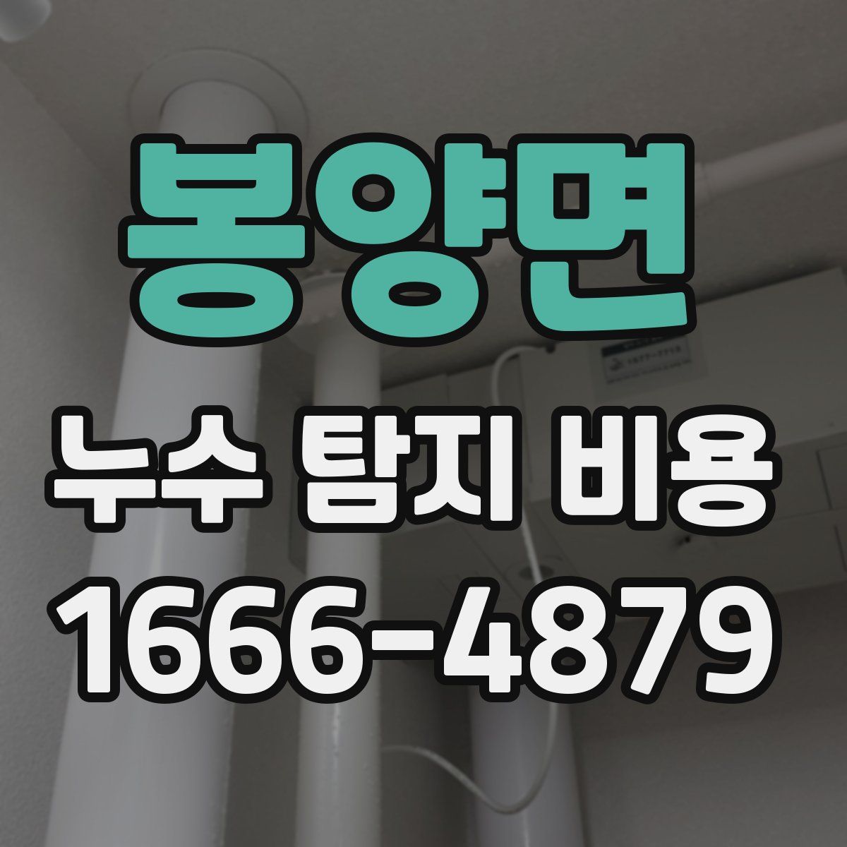 봉양면 누수 탐지 비용