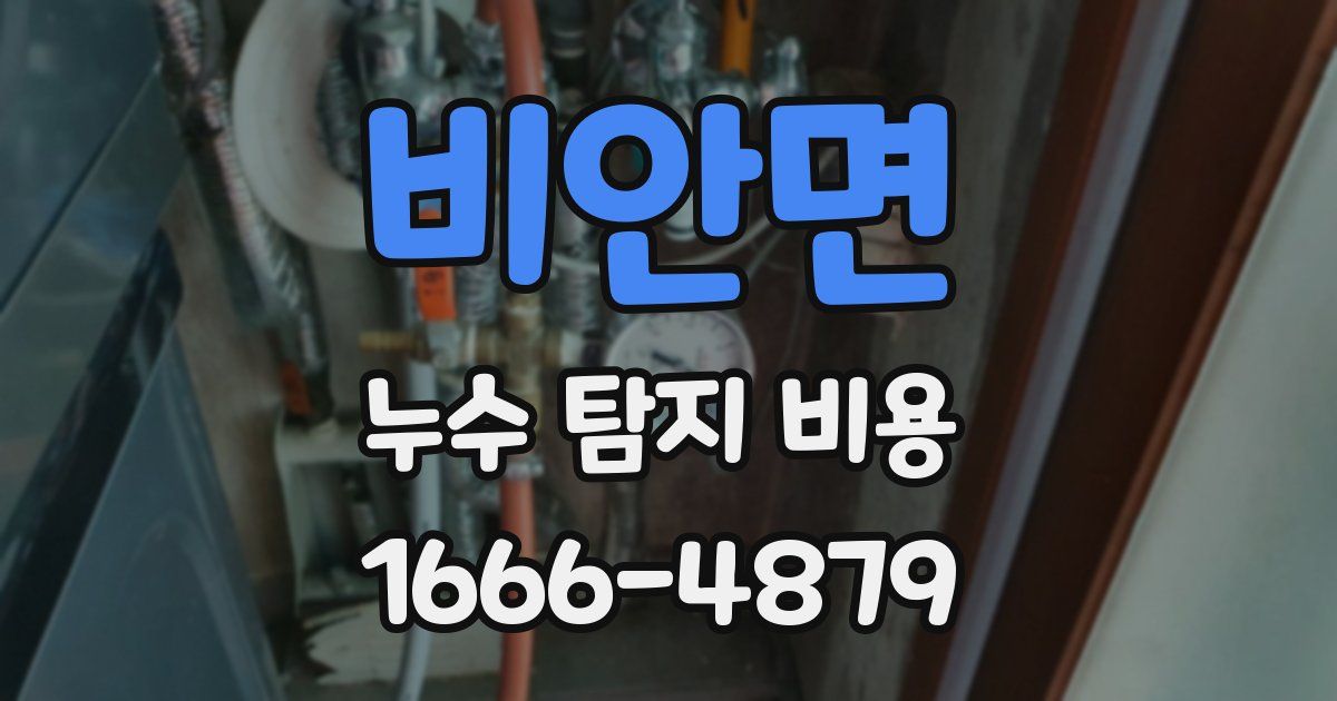비안면 누수 탐지 비용