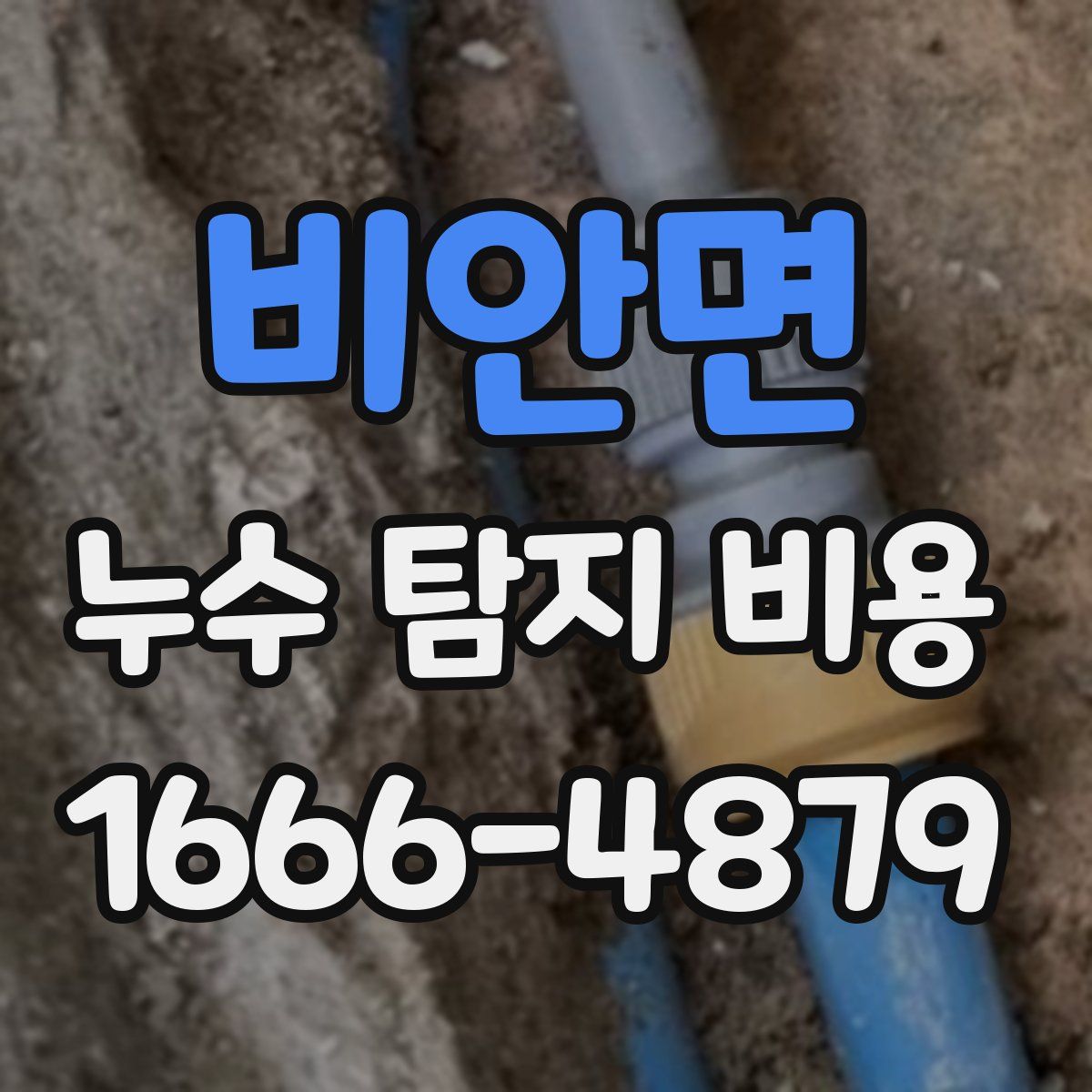 비안면 누수 탐지 비용