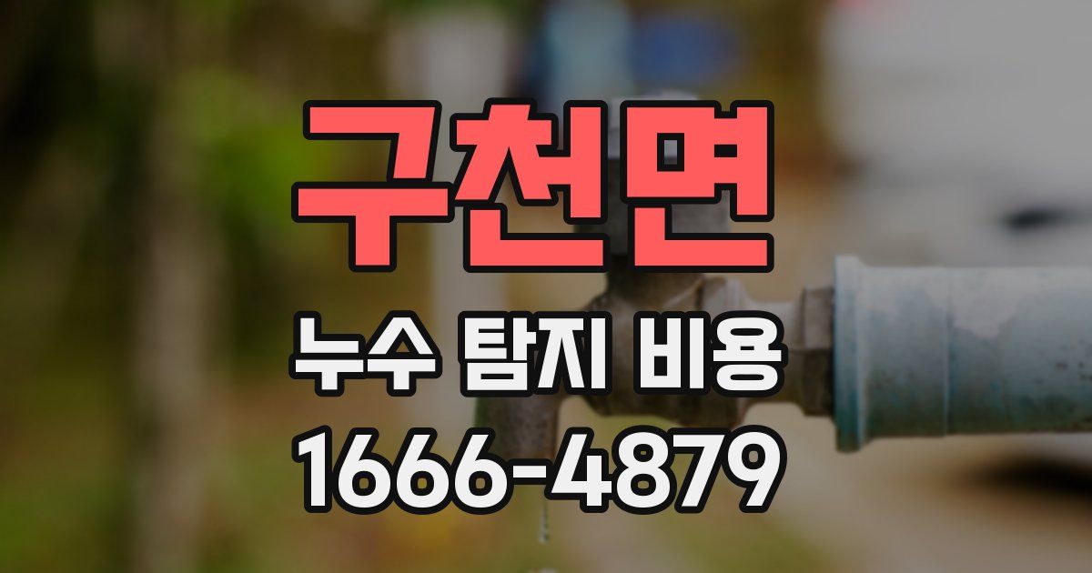 구천면 누수 탐지 비용