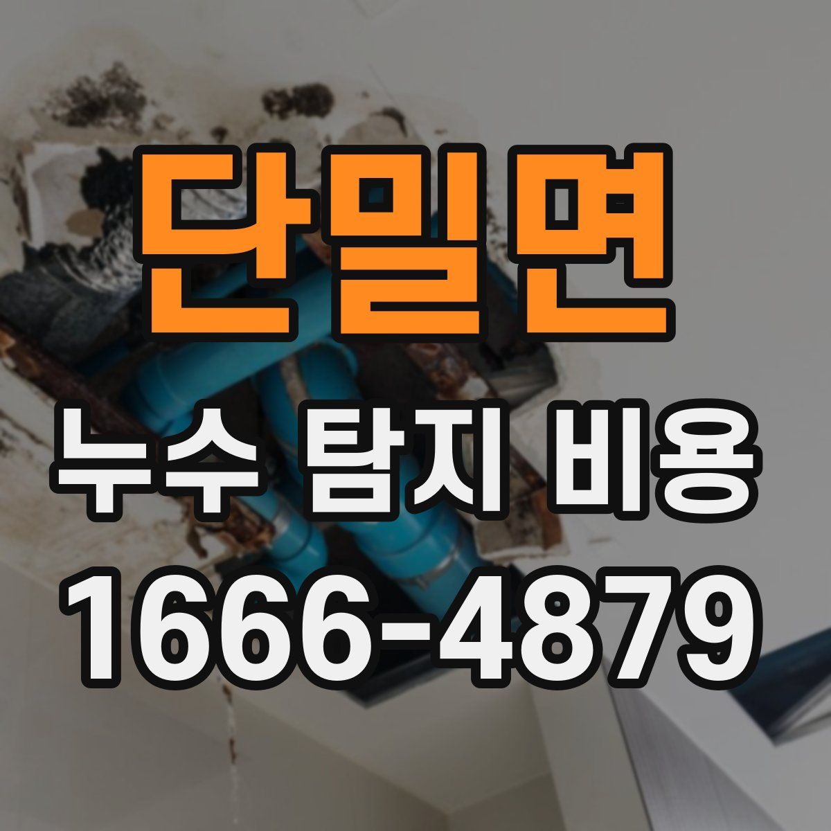 단밀면 누수 탐지 비용