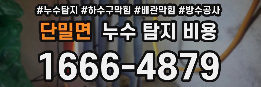 단밀면 누수 탐지 비용
