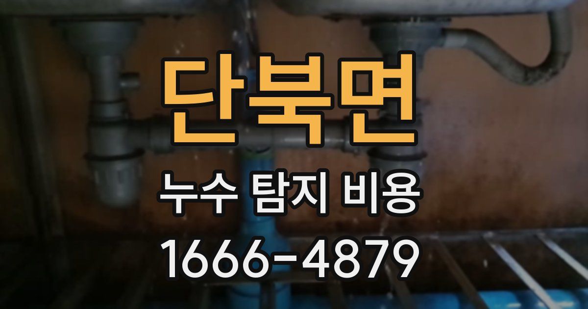 단북면 누수 탐지 비용
