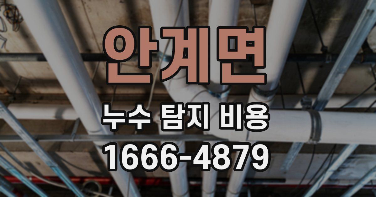 안계면 누수 탐지 비용