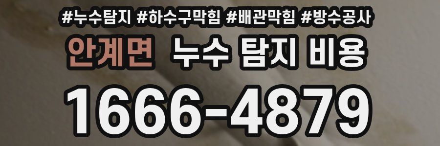 안계면 누수 탐지 비용