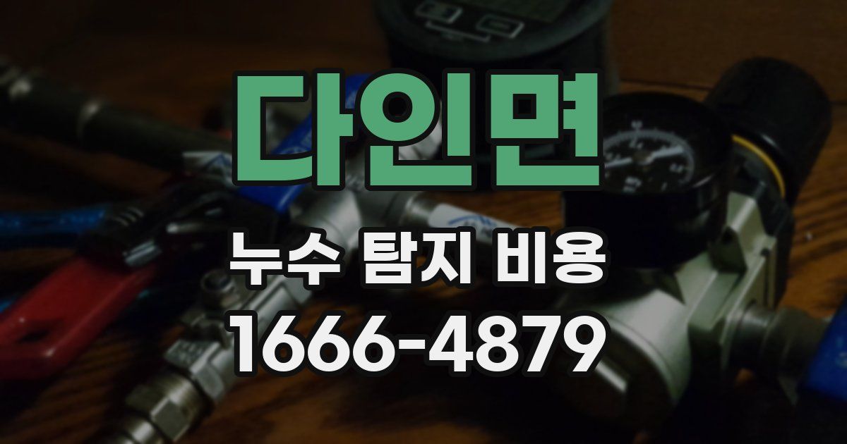 다인면 누수 탐지 비용