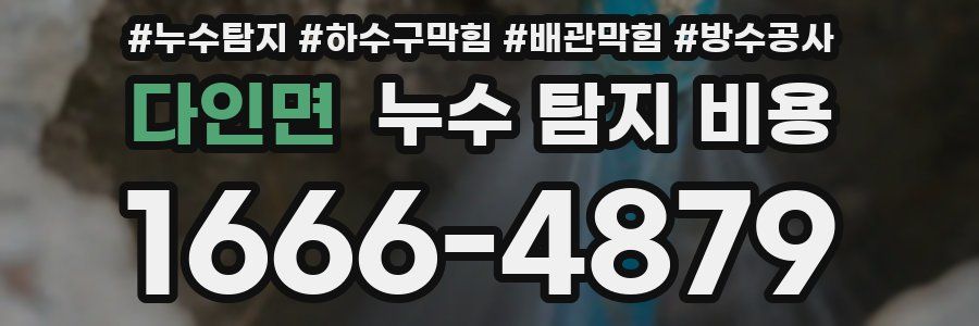 다인면 누수 탐지 비용
