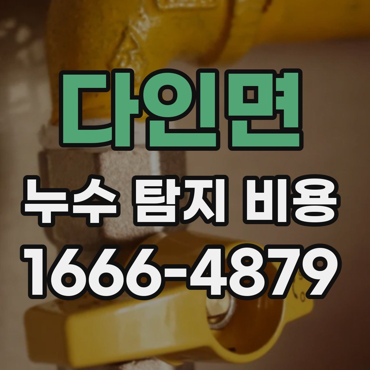 다인면 누수 탐지 비용