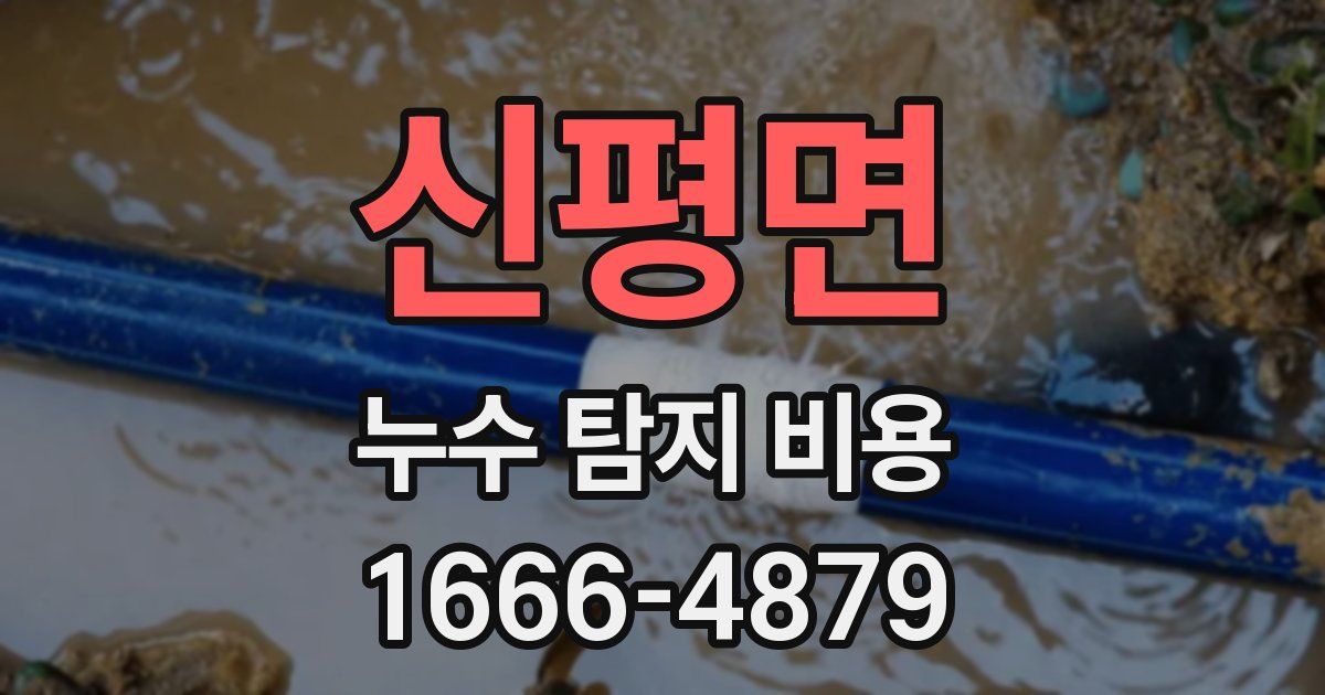 신평면 누수 탐지 비용