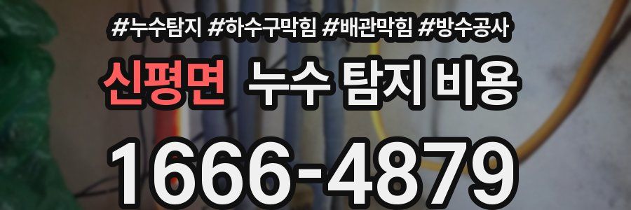 신평면 누수 탐지 비용