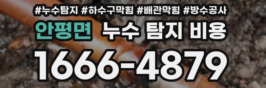 안평면 누수 탐지 비용