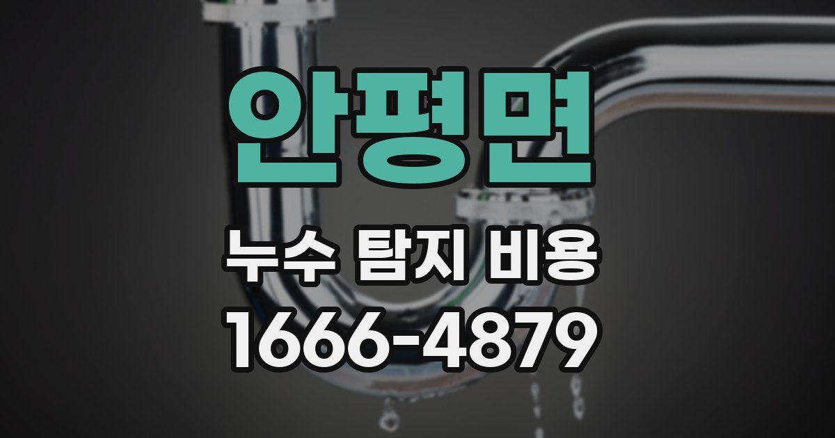 안평면 누수 탐지 비용