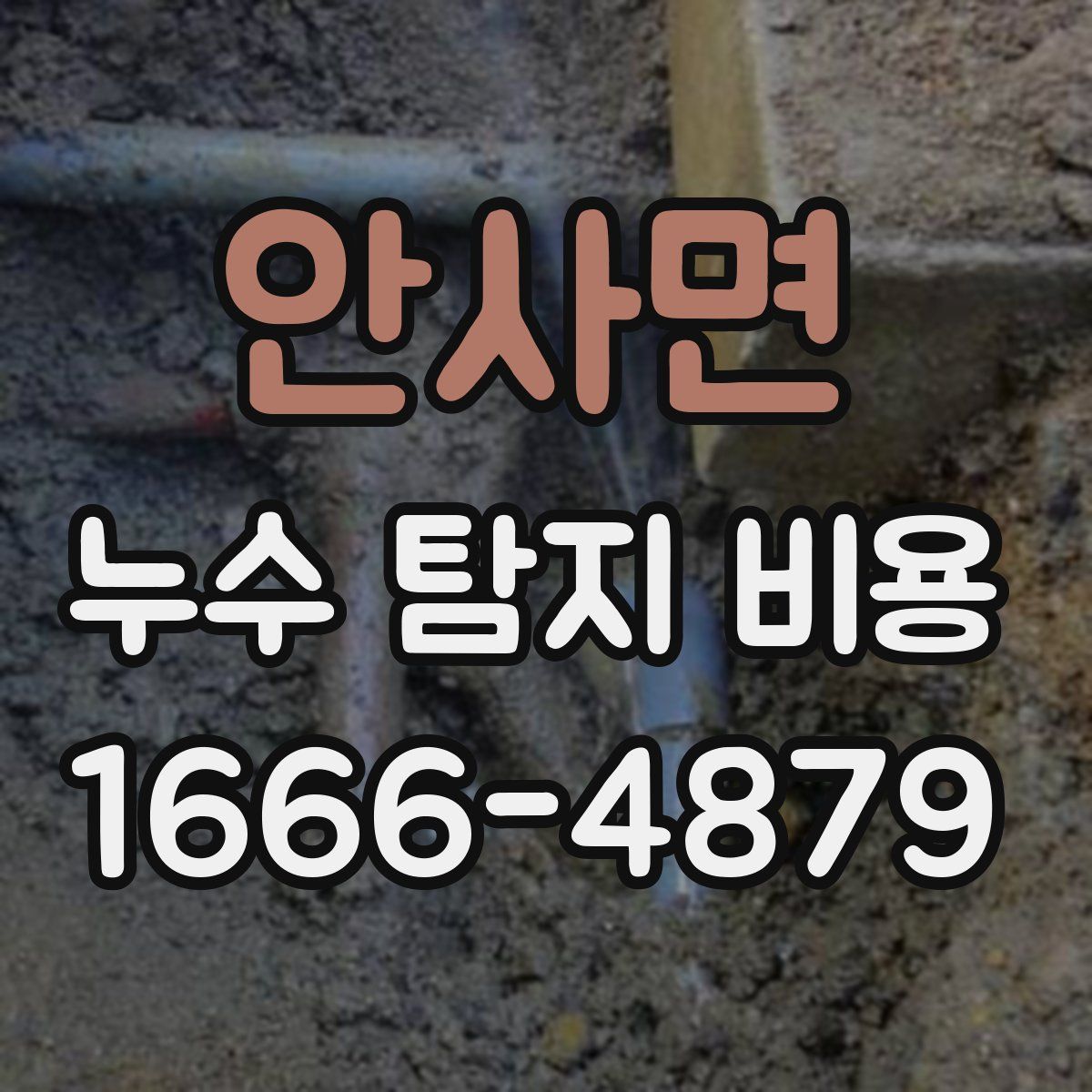 안사면 누수 탐지 비용