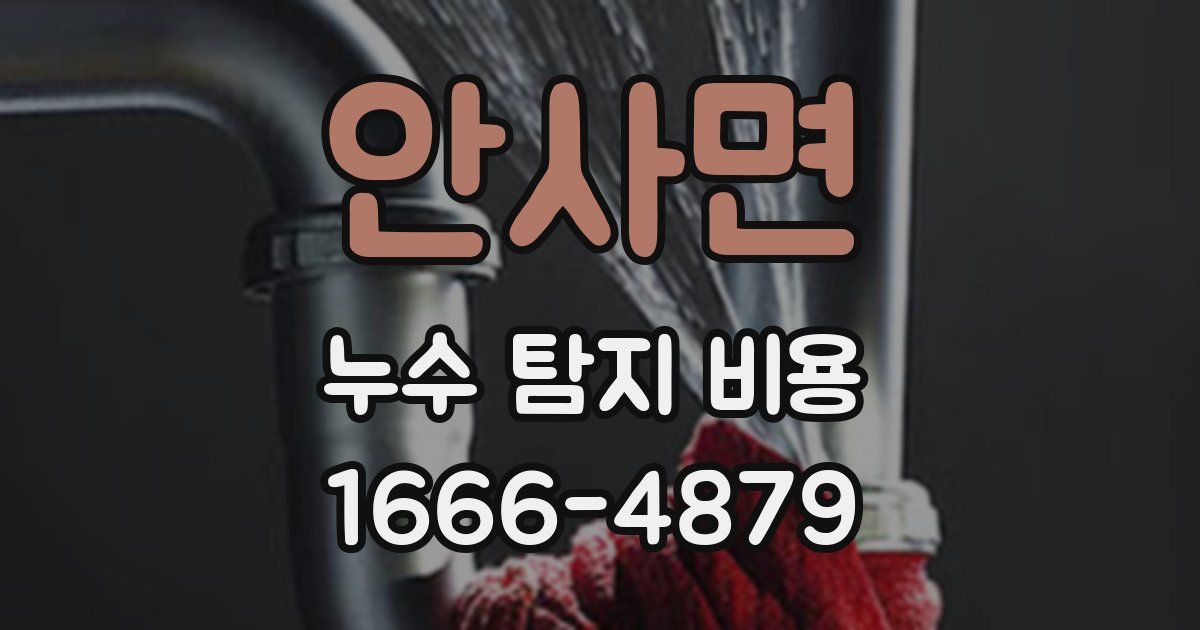안사면 누수 탐지 비용