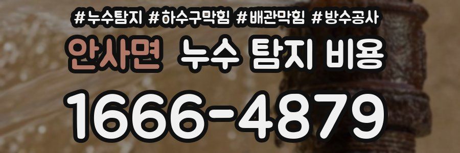 안사면 누수 탐지 비용