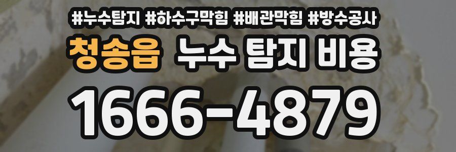 청송읍 누수 탐지 비용