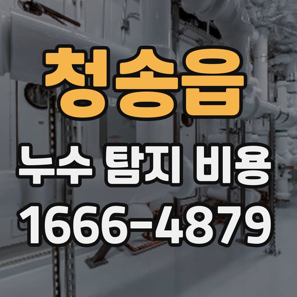 청송읍 누수 탐지 비용