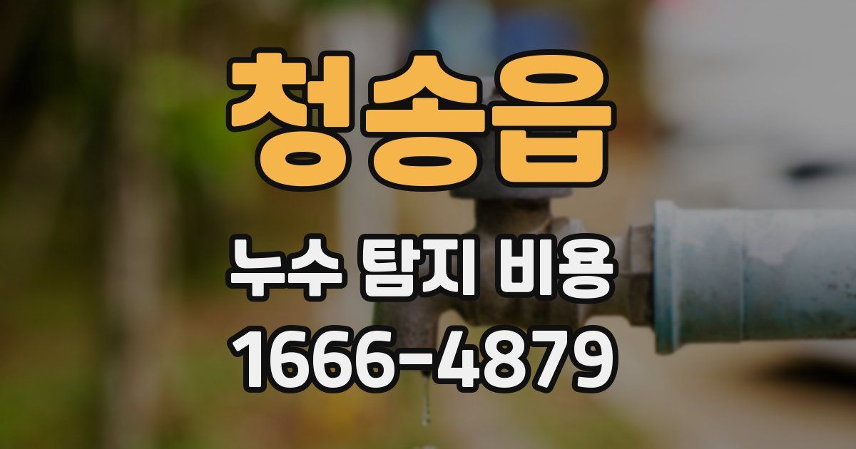 청송읍 누수 탐지 비용