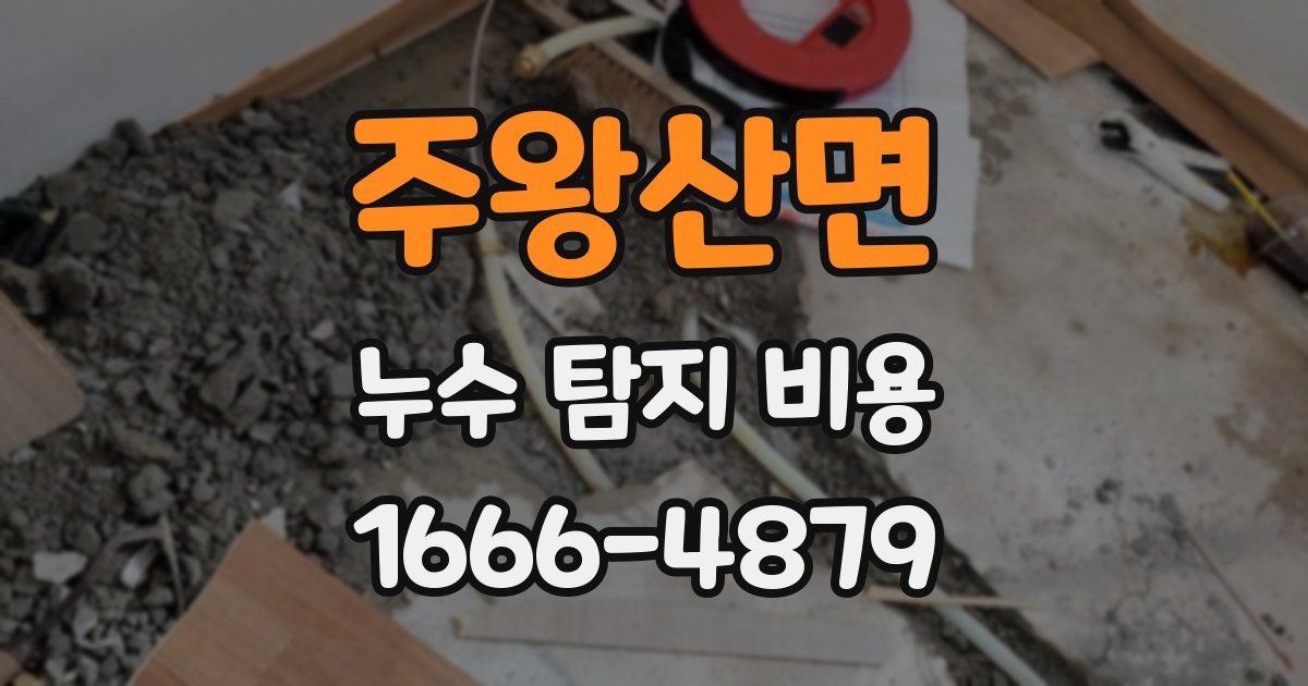 주왕산면 누수 탐지 비용