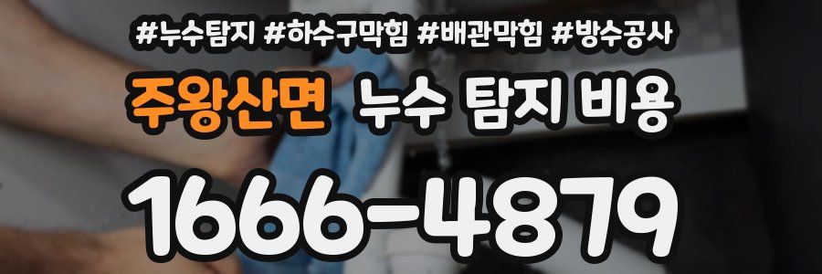 주왕산면 누수 탐지 비용